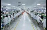 小米越南工厂建成投产：要给苹果做示范？