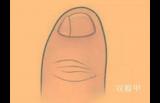 为何说脚趾有这种特征的人，不是纯血统的汉族人？而可能是鲜卑族
