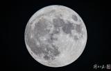 高清大图，今年最大的“超级月亮”来了！